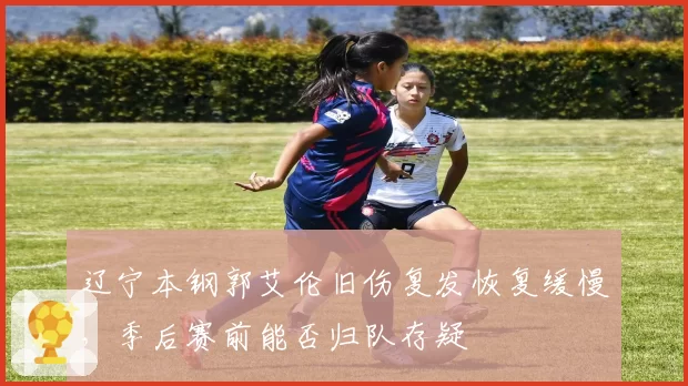 辽宁本钢郭艾伦旧伤复发恢复缓慢，季后赛前能否归队存疑