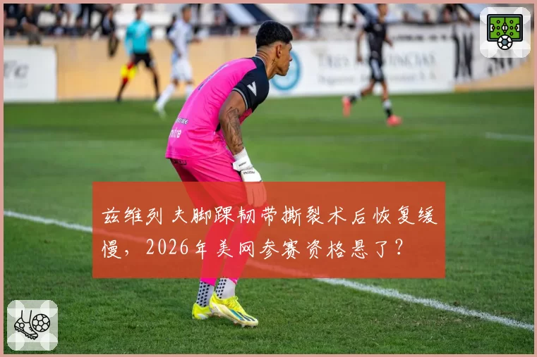 兹维列夫脚踝韧带撕裂术后恢复缓慢，2026年美网参赛资格悬了？