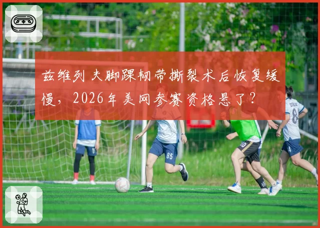 兹维列夫脚踝韧带撕裂术后恢复缓慢,2026年美网参赛资格悬了?