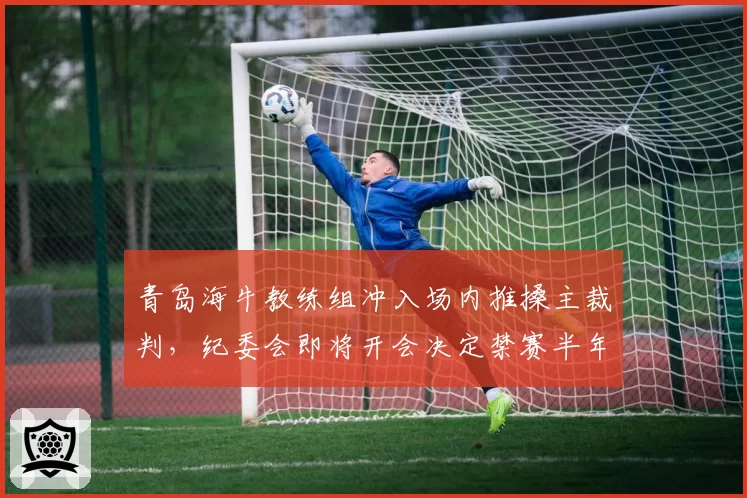 青岛海牛教练组冲入场内推搡主裁判，纪委会即将开会决定禁赛半年还是全年