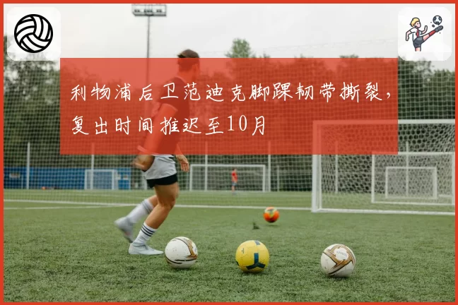 利物浦后卫范迪克脚踝韧带撕裂,复出时间推迟至10月