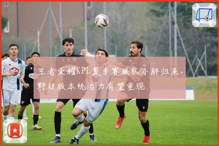 王者荣耀KPL夏季赛狼队小胖归来，野核版本统治力有望重现